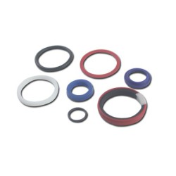 Seal Kit TMS-Jacobsen-Ransomes 4118238-01