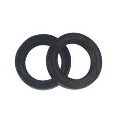 Seal Kit TMS-Jacobsen-Ransomes 2218152-04