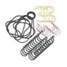 Seal Kit TMS-Jacobsen-Ransomes 4174881