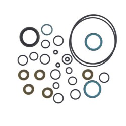 Seal Kit TMS-Jacobsen-Ransomes 4195580