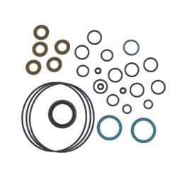Seal Kit TMS-Jacobsen-Ransomes 4195580
