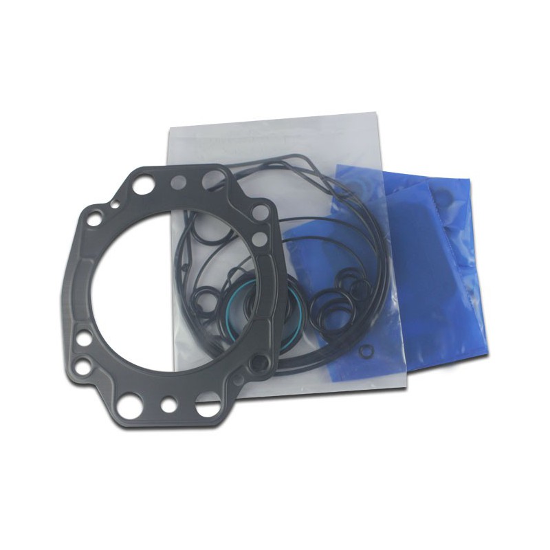 Seal Kit TMS-John Deere AMT1617