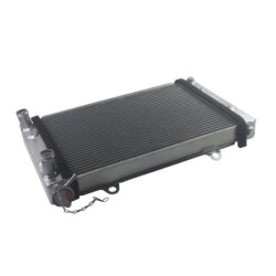 Radiator TMS-John Deere TCA19743 AUC19752