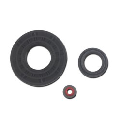Seal Kit TMS-John Deere TCA19846