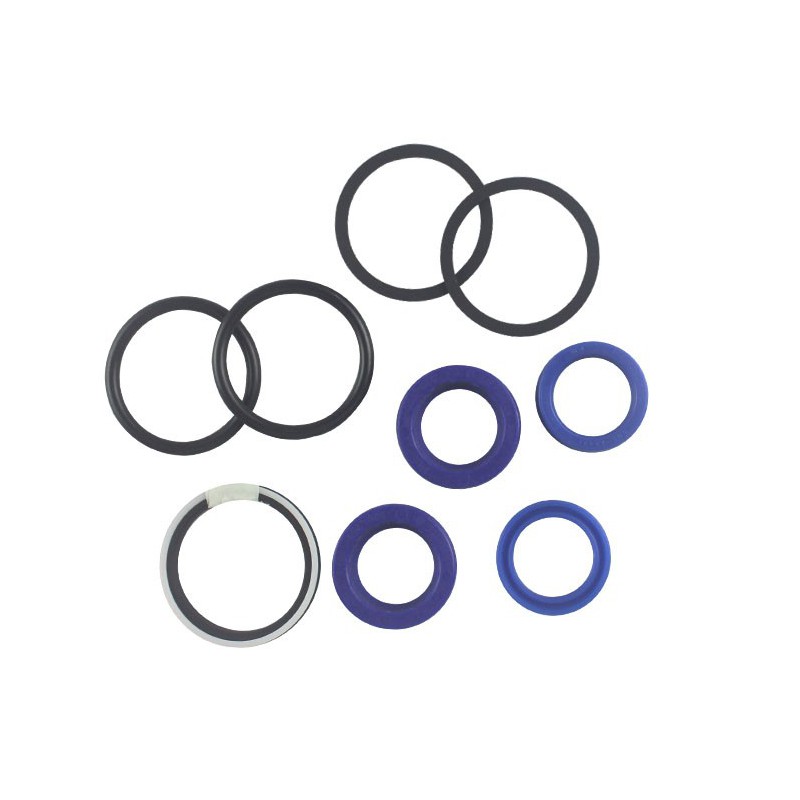 Seal Kit TMS-John Deere TCA23076