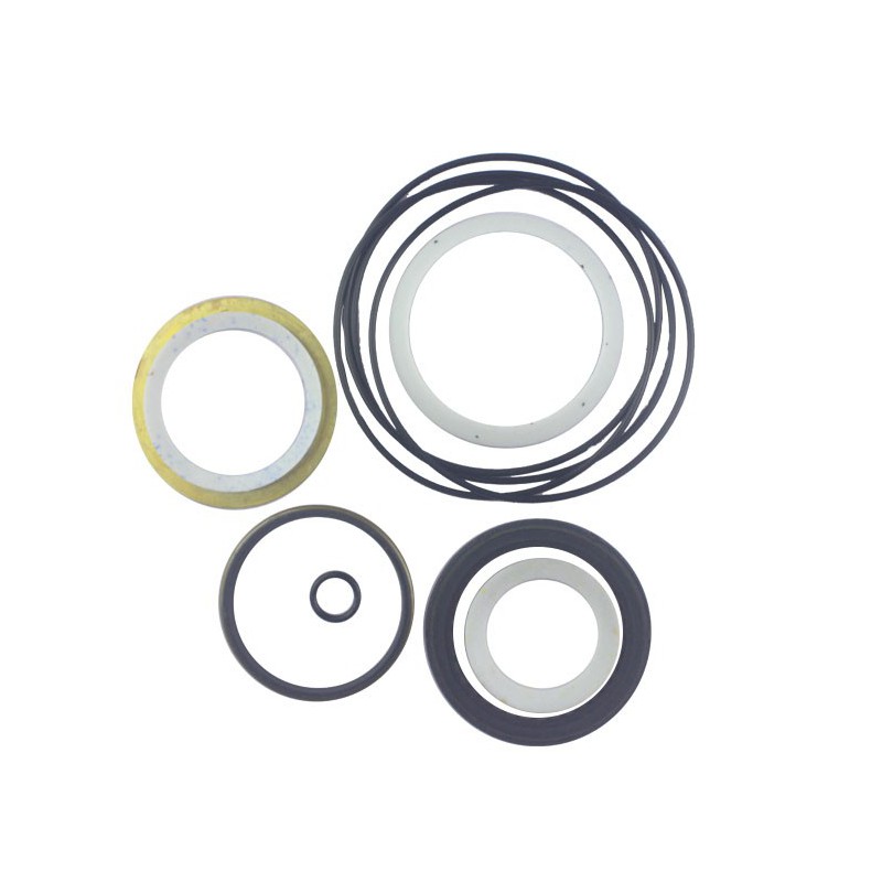 Seal Kit TMS-John Deere TCA13990