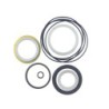 Seal Kit TMS-John Deere TCA13990