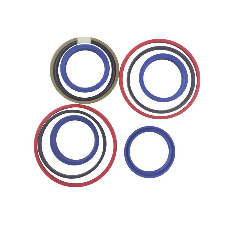 Seal Kit TMS-John Deere RE204894