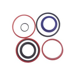 Seal Kit TMS-John Deere AM130780