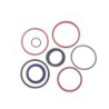 Seal Kit TMS-John Deere AM130780