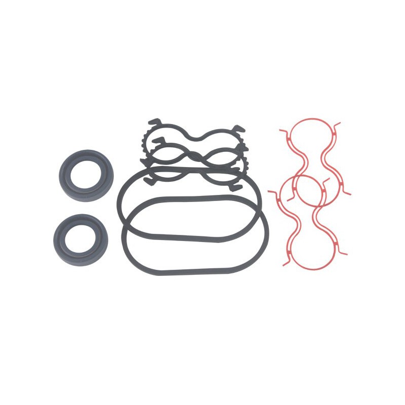 Motor Seal Kit TMS-Toro 125-1682