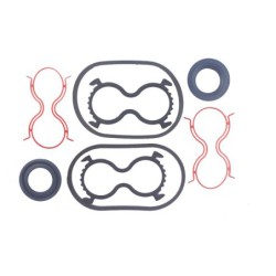 Motor Seal Kit TMS-Toro 125-1682