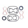 Motor Seal Kit TMS-Toro 125-1682