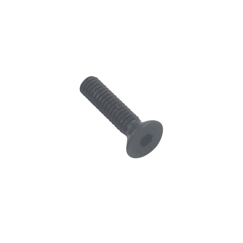 Screw TMS-Toro 133-4543